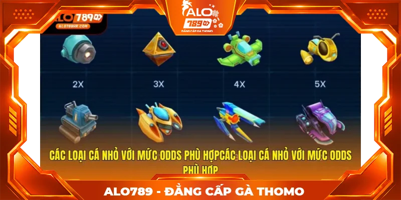 Các loại cá nhỏ với mức odds phù hợp