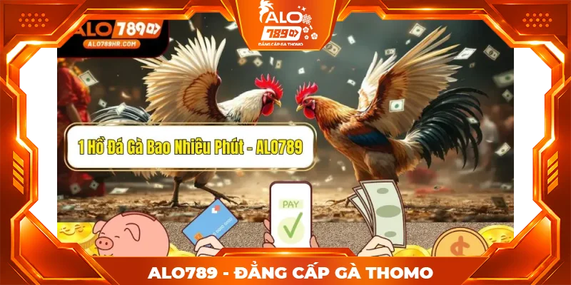 Một hồ đá gà bao nhiêu phút? Giải đáp chi tiết cho kê thủ mới chơi
