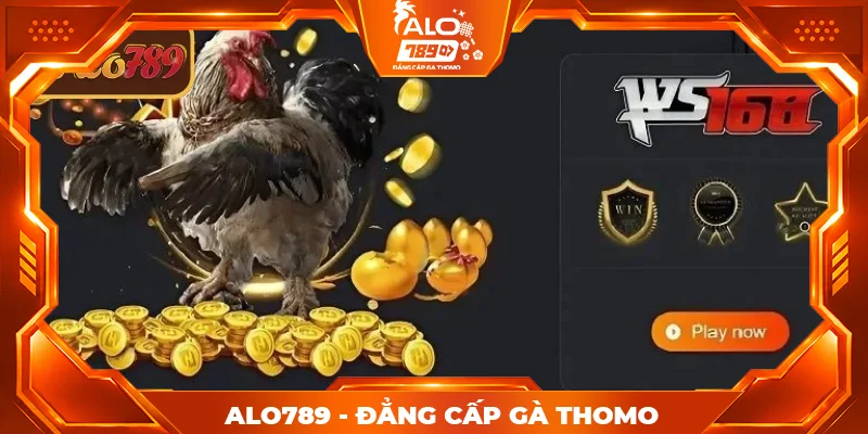 Tổng quan về sảnh WS168 ALO789 Tổng quan về sảnh WS168 ALO789
